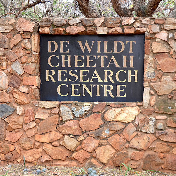 de-wildt-cheetah-centre-entrance de-wildt-cheetah-centre-entrance