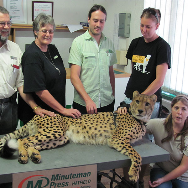 de-wildt-cheetah-centre-veterinarian de-wildt-cheetah-centre-veterinarian