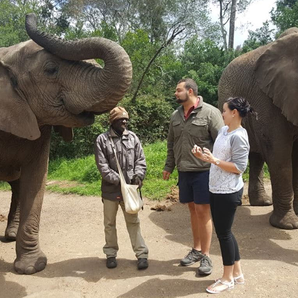 elephant-sanctuary-gauteng-steward-travel-1