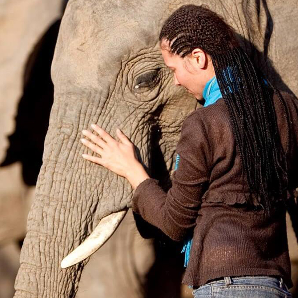 elephant-sanctuary-gauteng-steward-travel-1