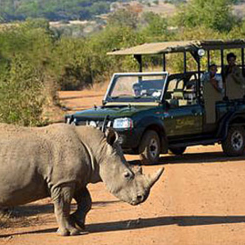 sun-city-pilanesberg-national-park-steward-travel-1